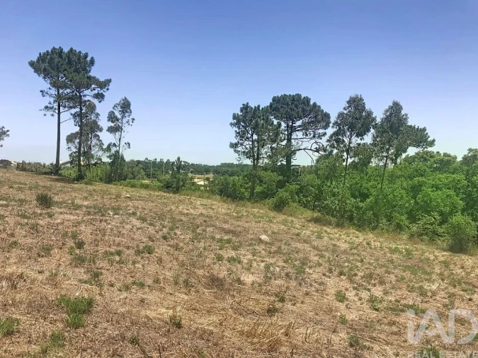 Terreno para Venda em Venda do Pinheiro e Santo Estêvão das Galés Foto 32