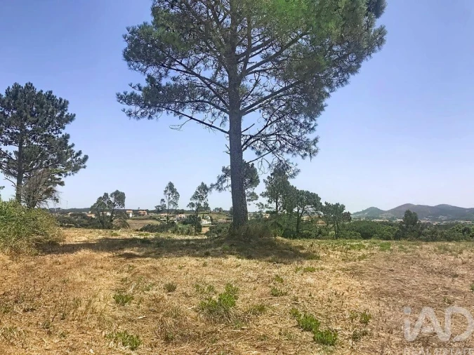 Terreno para Venda em Venda do Pinheiro e Santo Estêvão das Galés Foto 3