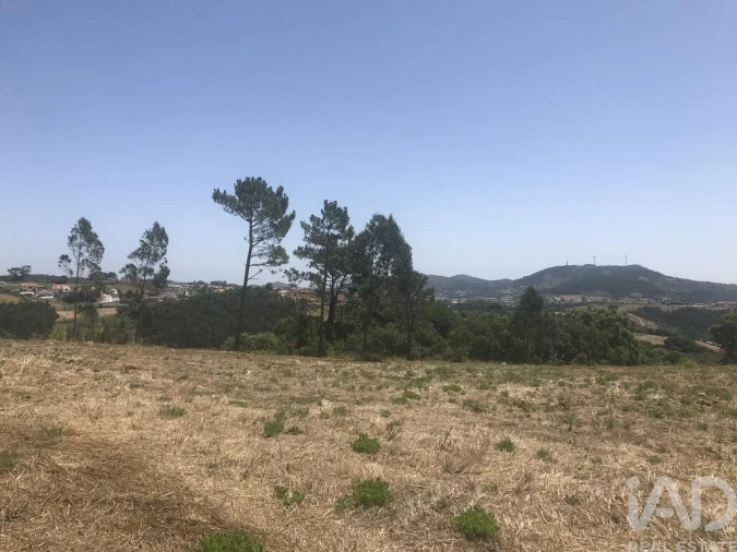 Terreno para Venda em Venda do Pinheiro e Santo Estêvão das Galés Foto 12