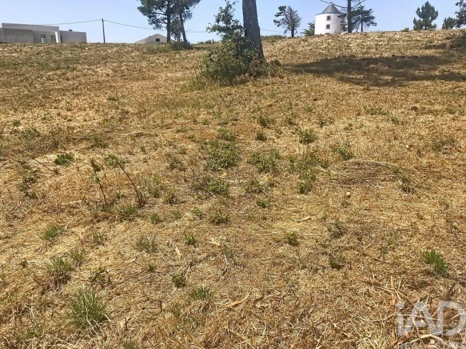 Terreno para Venda em Venda do Pinheiro e Santo Estêvão das Galés Foto 24