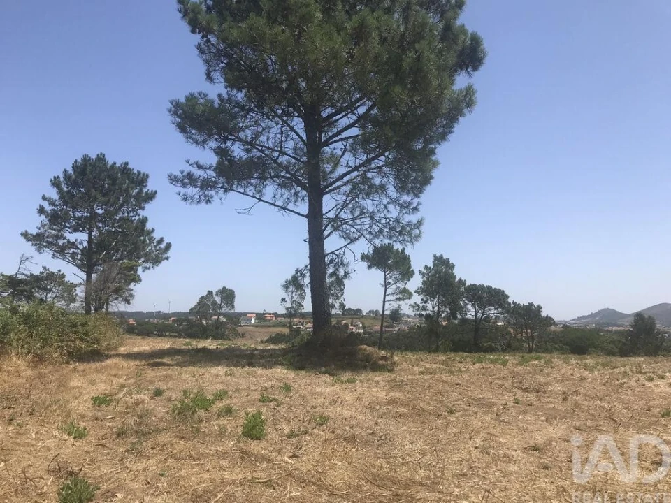 Terreno para Venda em Venda do Pinheiro e Santo Estêvão das Galés Foto 5