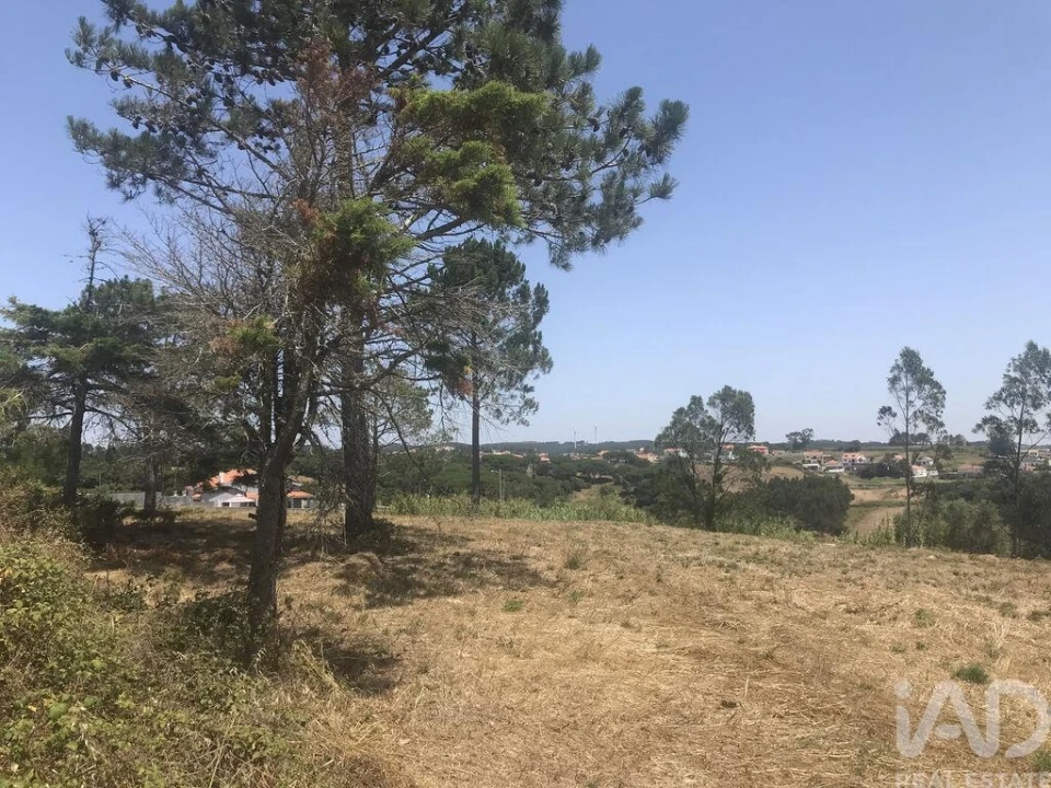 Terreno para Venda em Venda do Pinheiro e Santo Estêvão das Galés Foto 14
