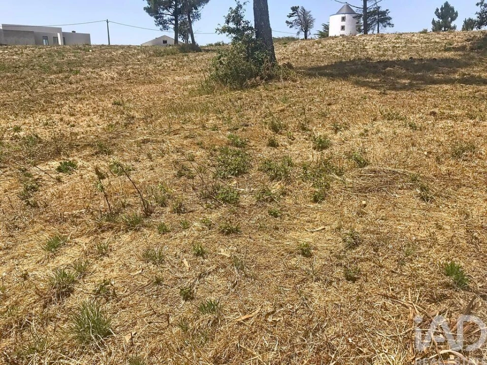 Terreno para Venda em Venda do Pinheiro e Santo Estêvão das Galés Foto 24