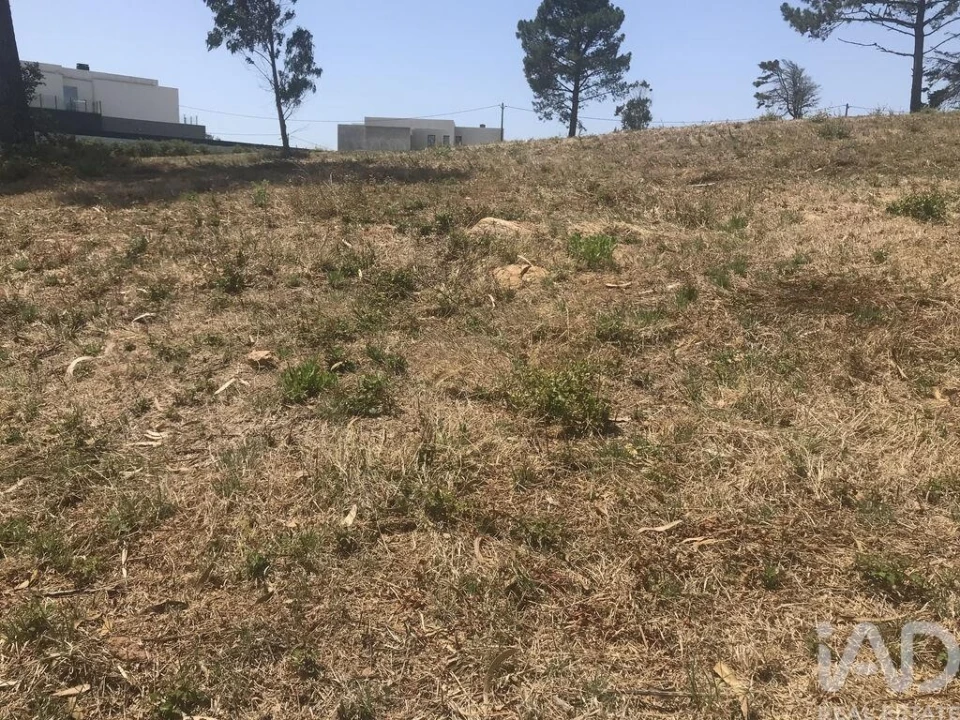 Terreno para Venda em Venda do Pinheiro e Santo Estêvão das Galés Foto 25