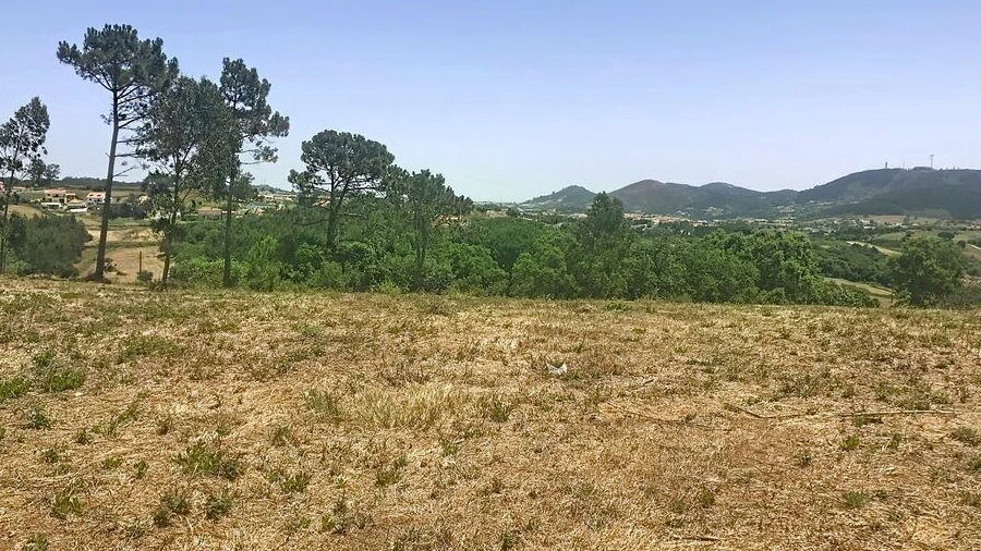 Terreno para Venda em Venda do Pinheiro e Santo Estêvão das Galés