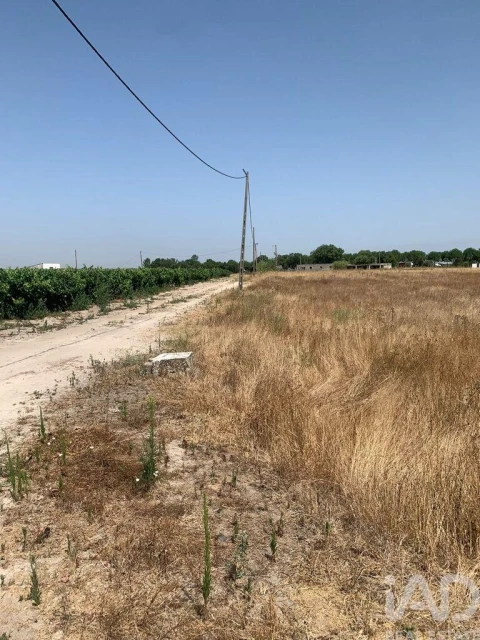 Terreno para Venda em Poceirão e Marateca