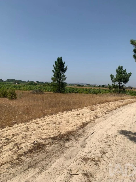 Terreno para Venda em Poceirão e Marateca