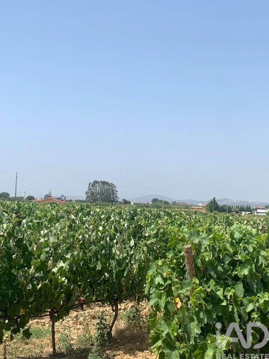 Terreno para Venda em Poceirão e Marateca Foto 2
