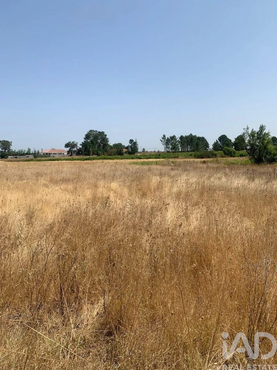 Terreno para Venda em Poceirão e Marateca Foto 7