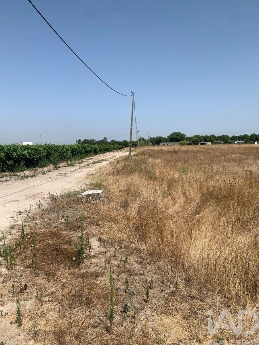 Terreno para Venda em Poceirão e Marateca Foto 5