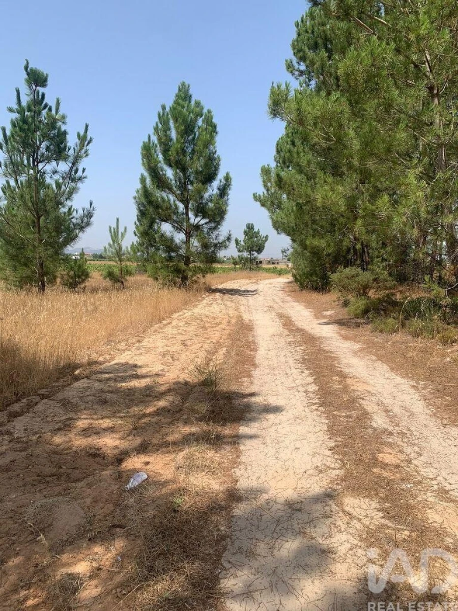 Terreno para Venda em Poceirão e Marateca Foto 4