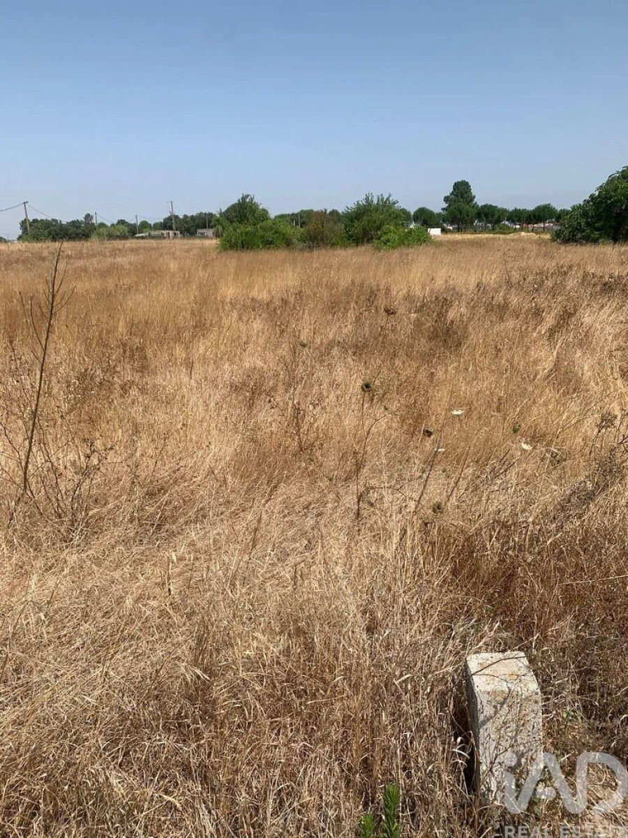 Terreno para Venda em Poceirão e Marateca Foto 6
