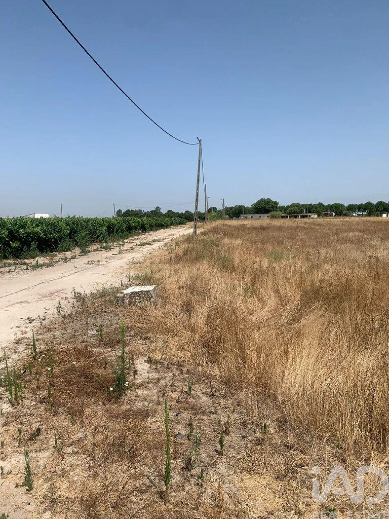 Terreno para Venda em Poceirão e Marateca Foto 5
