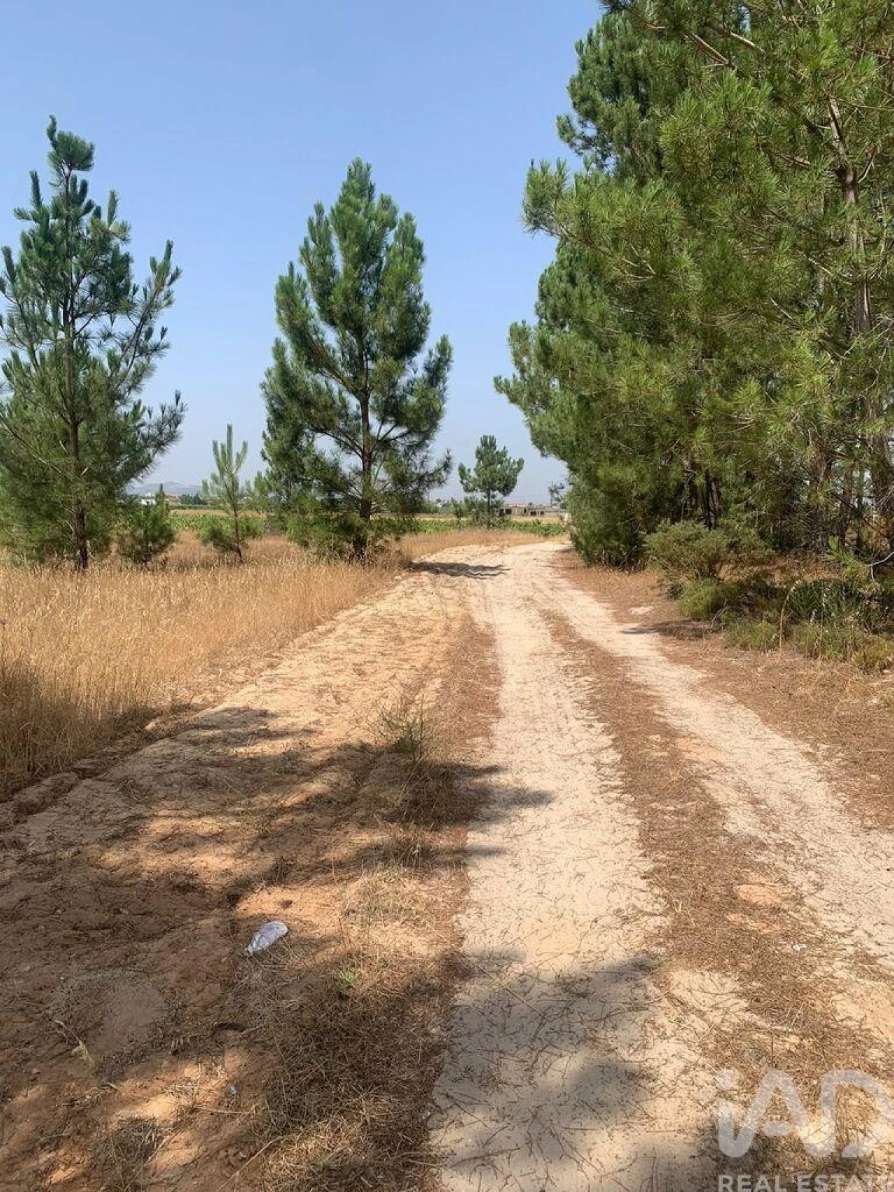 Terreno para Venda em Poceirão e Marateca Foto 4