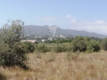 Terreno para Venda em São João das Lampas e Terrugem