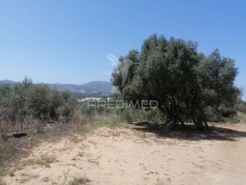 Terreno para Venda em São João das Lampas e Terrugem