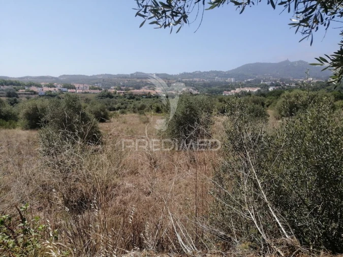 Terreno para Venda em São João das Lampas e Terrugem Foto 4