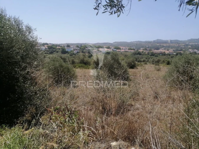 Terreno para Venda em São João das Lampas e Terrugem Foto 3