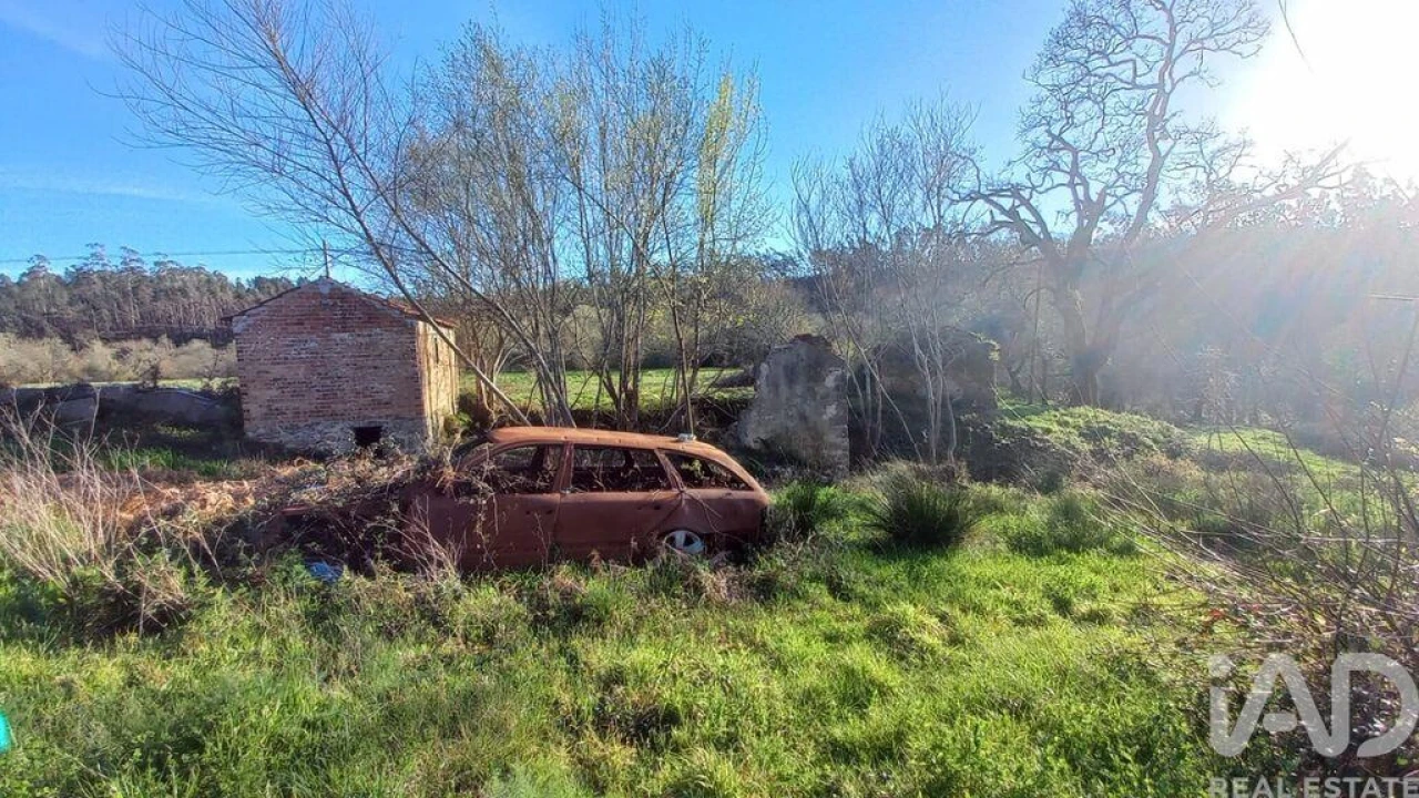 Moradia para Venda em Santiago e São Simão de Litém e Albergaria dos Doze Foto 3