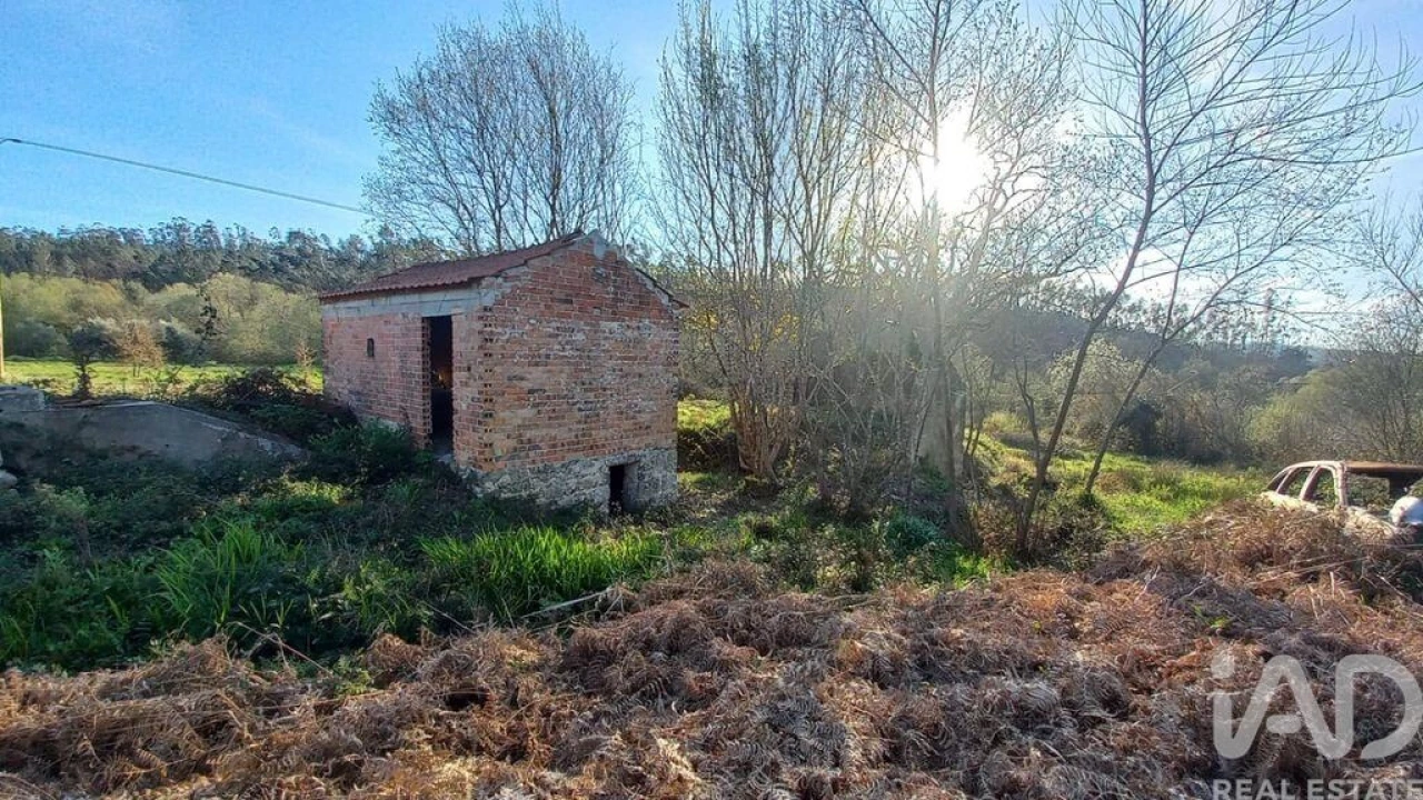 Moradia para Venda em Santiago e São Simão de Litém e Albergaria dos Doze Foto 26