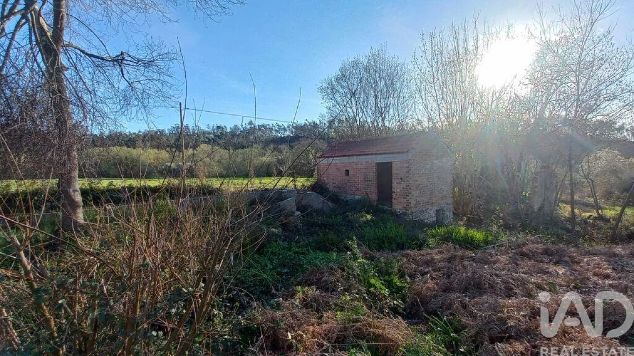 Moradia para Venda em Santiago e São Simão de Litém e Albergaria dos Doze Foto 8