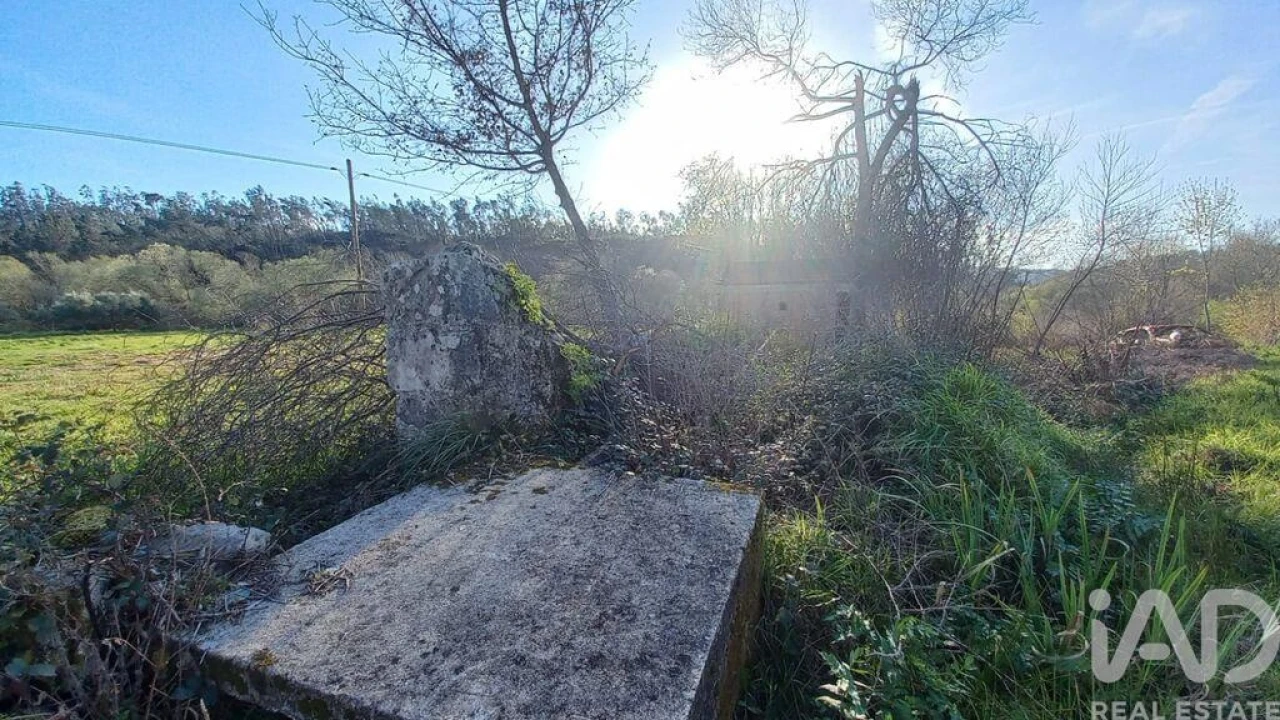 Moradia para Venda em Santiago e São Simão de Litém e Albergaria dos Doze Foto 16