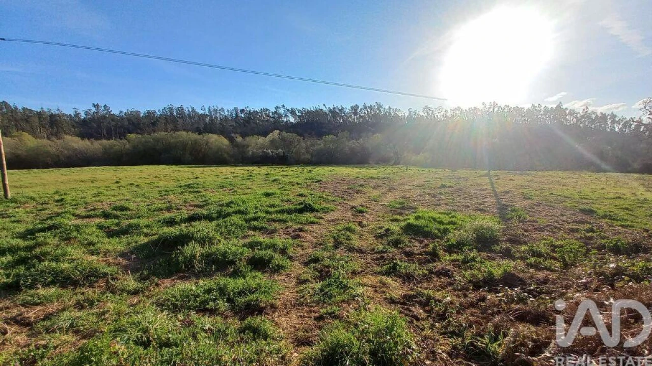 Moradia para Venda em Santiago e São Simão de Litém e Albergaria dos Doze Foto 20