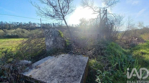 Moradia para Venda em Santiago e São Simão de Litém e Albergaria dos Doze
