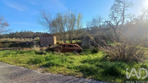 Moradia para Venda em Santiago e São Simão de Litém e Albergaria dos Doze