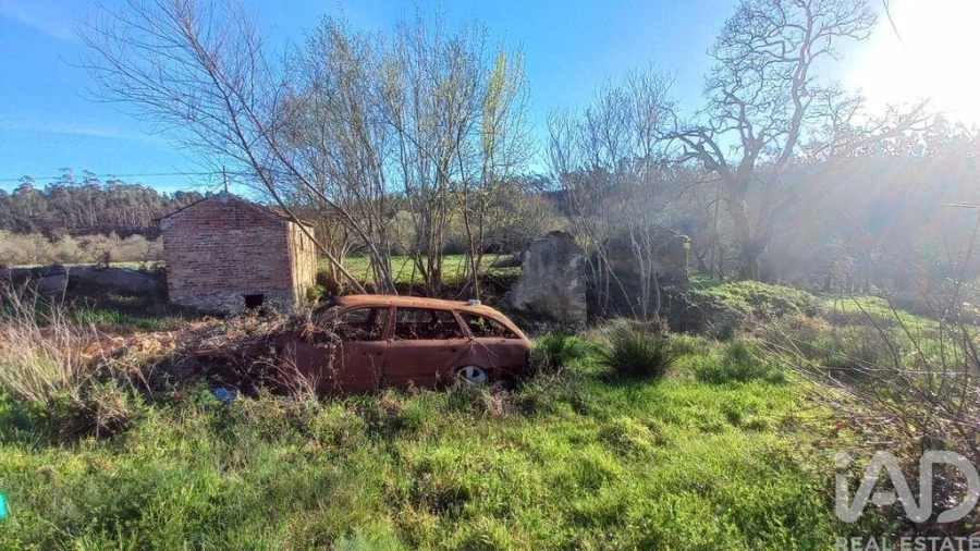 Moradia para Venda em Santiago e São Simão de Litém e Albergaria dos Doze Foto 3