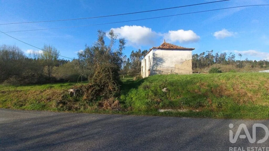 Moradia para Venda em Santiago e São Simão de Litém e Albergaria dos Doze Foto 22