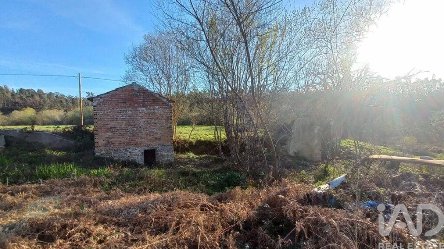 Moradia para Venda em Santiago e São Simão de Litém e Albergaria dos Doze Foto 15