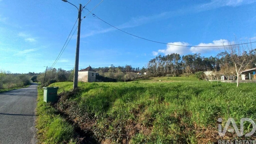 Moradia para Venda em Santiago e São Simão de Litém e Albergaria dos Doze Foto 4