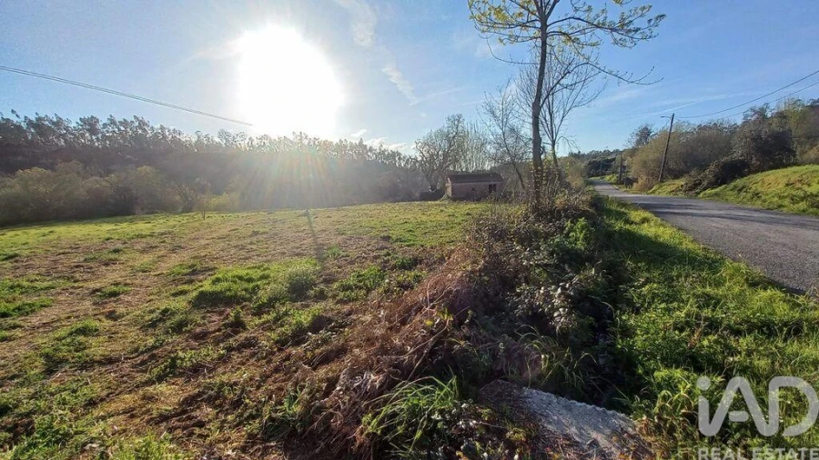 Moradia para Venda em Santiago e São Simão de Litém e Albergaria dos Doze Foto 19