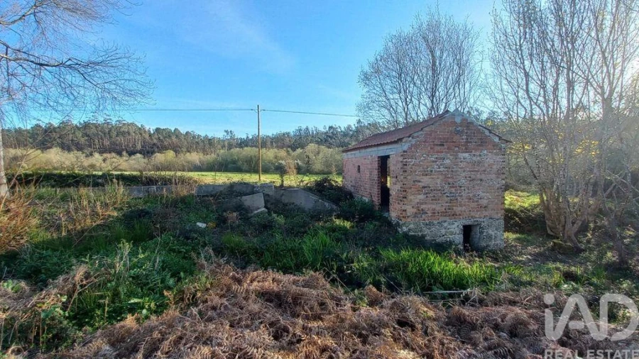 Moradia para Venda em Santiago e São Simão de Litém e Albergaria dos Doze Foto 13
