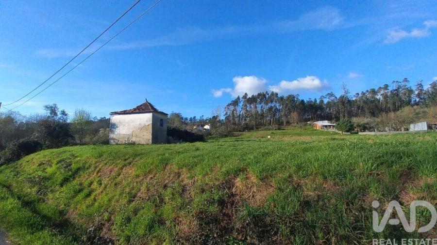 Moradia para Venda em Santiago e São Simão de Litém e Albergaria dos Doze Foto 6