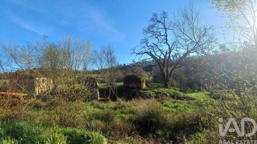 Moradia para Venda em Santiago e São Simão de Litém e Albergaria dos Doze Foto 12