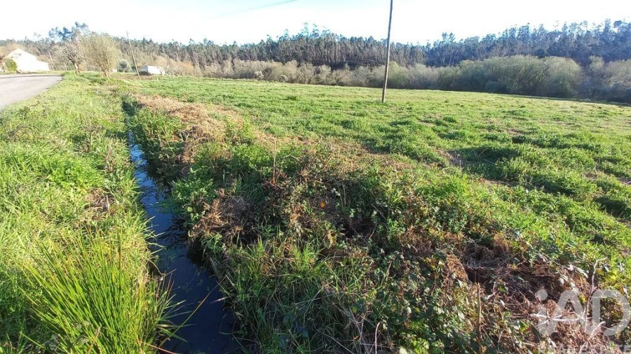 Moradia para Venda em Santiago e São Simão de Litém e Albergaria dos Doze Foto 18