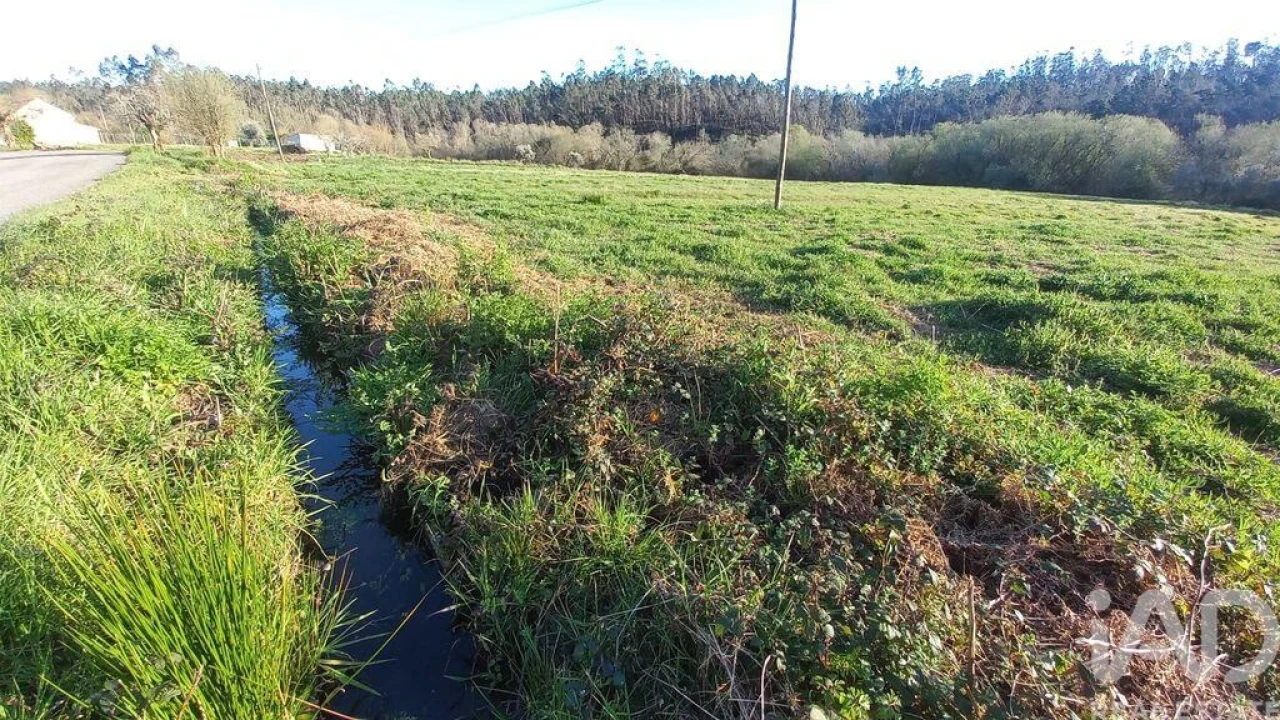Moradia para Venda em Santiago e São Simão de Litém e Albergaria dos Doze Foto 18