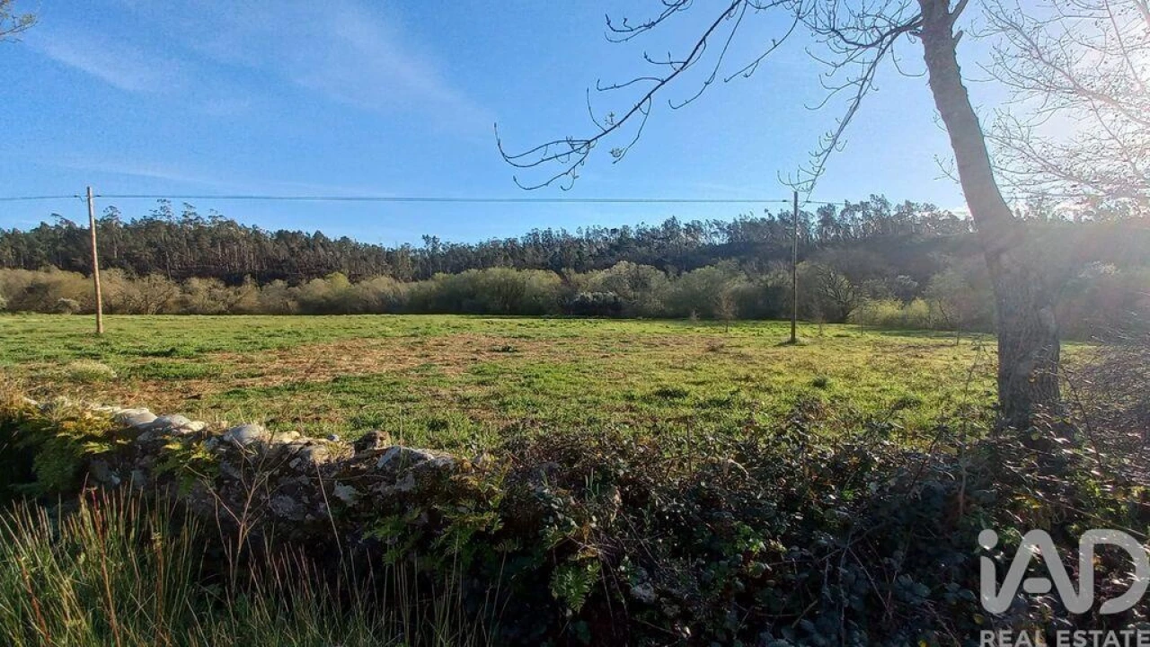 Moradia para Venda em Santiago e São Simão de Litém e Albergaria dos Doze Foto 17