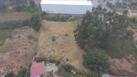 Terreno para Venda em Nespereira