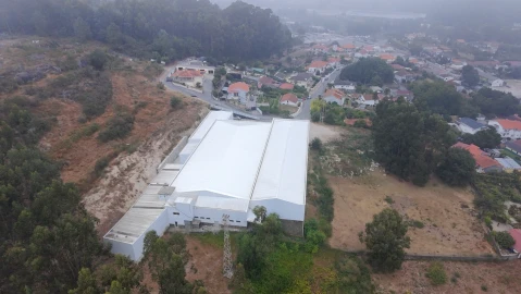 Terreno para Venda em Nespereira