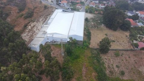 Terreno para Venda em Nespereira