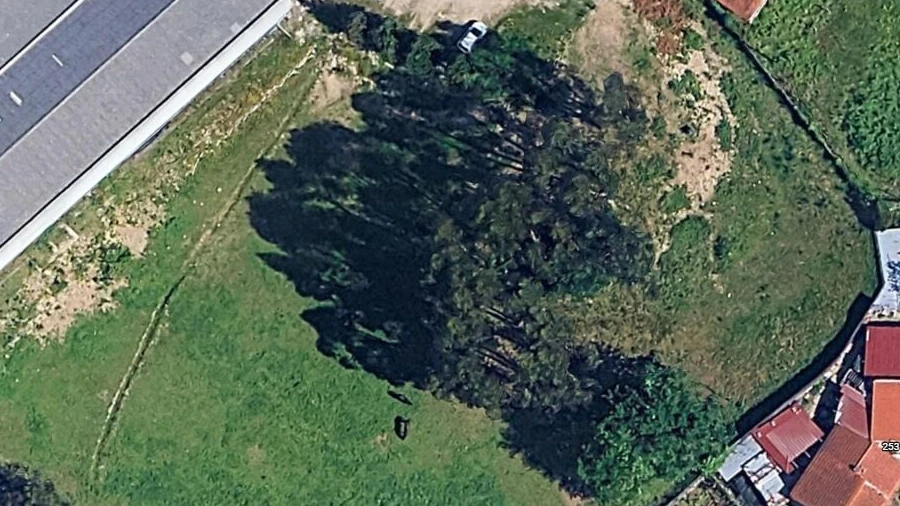 Terreno para Venda em Nespereira