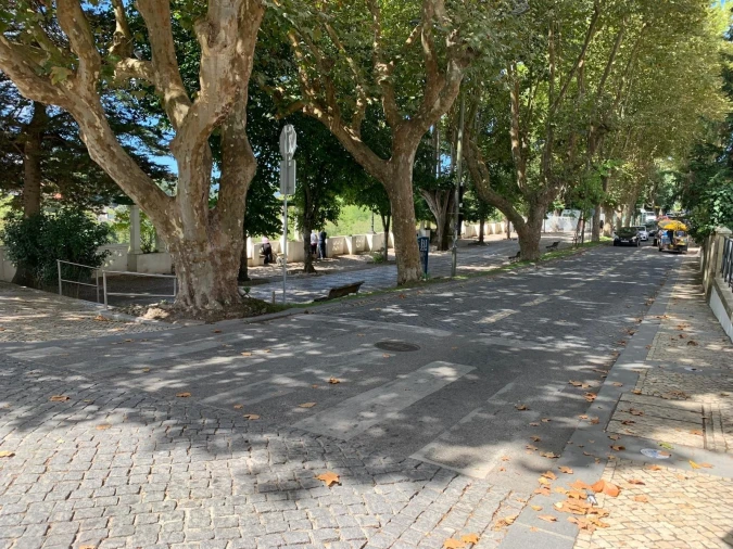 Apartamento T3 para Venda em Santa Maria e São Miguel, São Martinho, São Pedro Penaferrim Foto 5