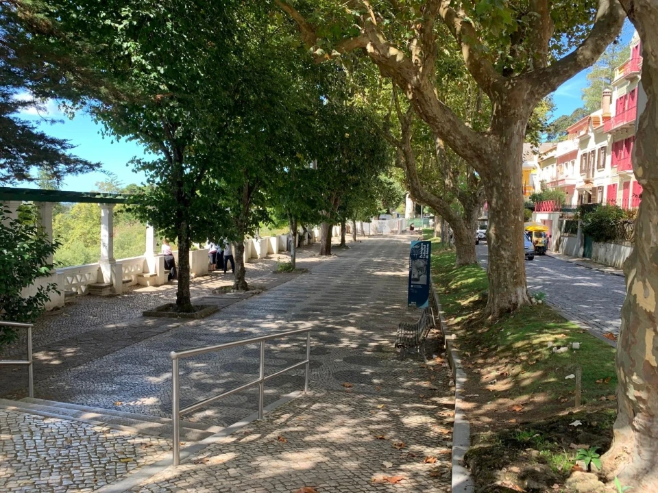 Apartamento T3 para Venda em Santa Maria e São Miguel, São Martinho, São Pedro Penaferrim Foto 4