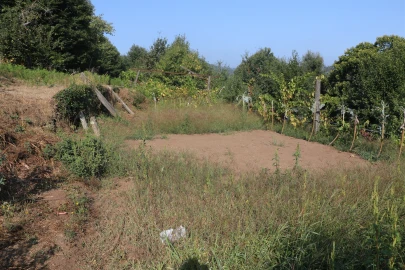 Moradia T3 para Venda em Lustosa e Barrosas (Santo Estêvão)