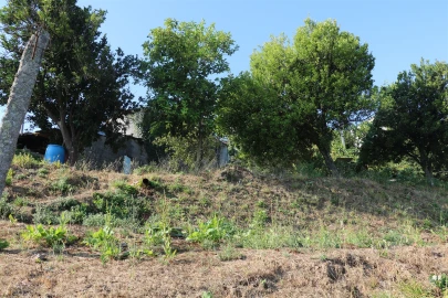 Moradia T3 para Venda em Lustosa e Barrosas (Santo Estêvão)