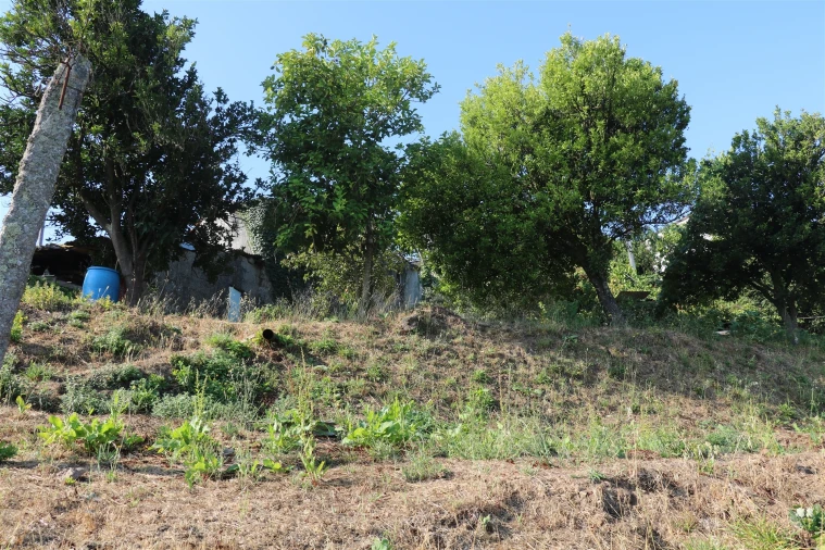 Moradia T3 para Venda em Lustosa e Barrosas (Santo Estêvão) Foto 14