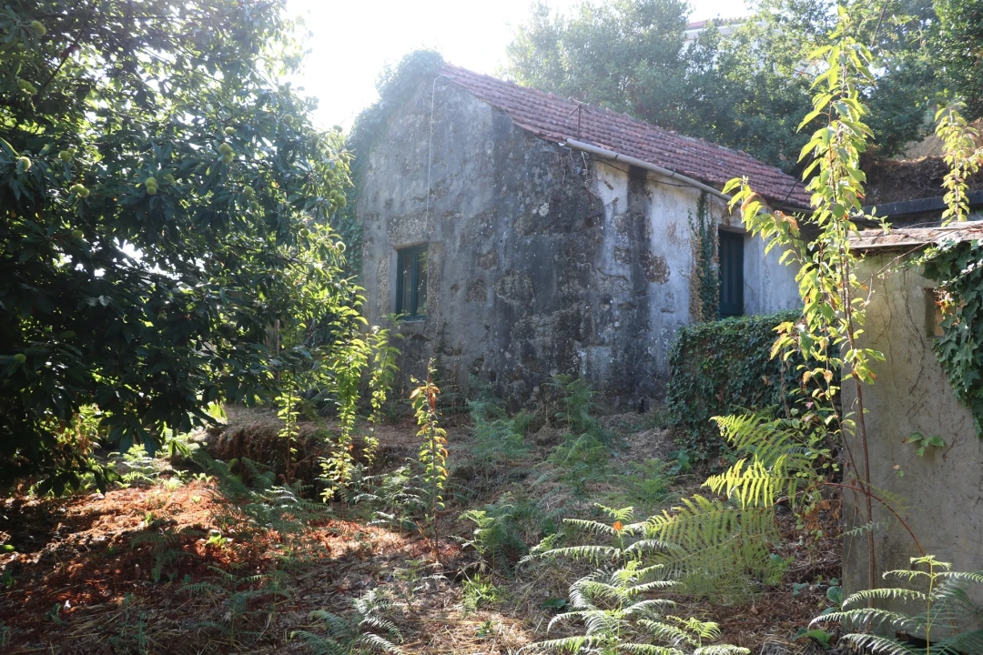 Moradia T2 para Venda em Lustosa e Barrosas (Santo Estêvão) Foto 2